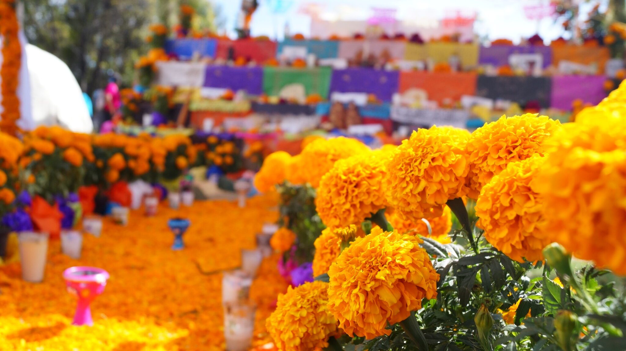 Códigos culturales en las ofrendas de muertos